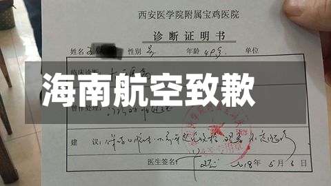 海南航空致歉-第1张图片