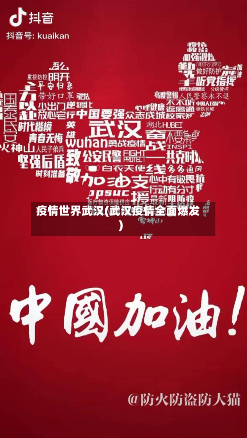 疫情世界武汉(武汉疫情全面爆发)-第1张图片