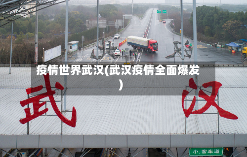 疫情世界武汉(武汉疫情全面爆发)-第2张图片