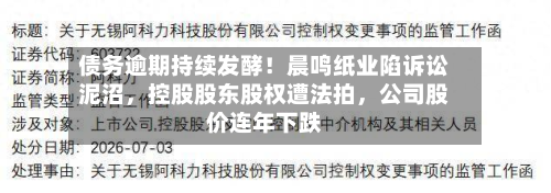 债务逾期持续发酵！晨鸣纸业陷诉讼泥沼，控股股东股权遭法拍，公司股价连年下跌-第3张图片