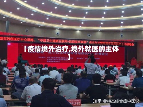 【疫情境外治疗,境外就医的主体】-第1张图片