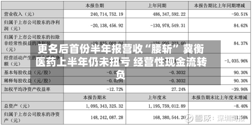 更名后首份半年报营收“腰斩” 冀衡医药上半年仍未扭亏 经营性现金流转负-第3张图片