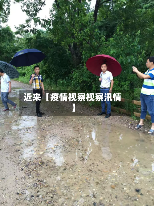近来【疫情视察视察汛情】-第3张图片
