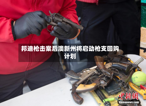 邦迪枪击案后澳新州将启动枪支回购计划-第3张图片