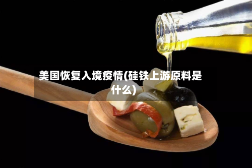 美国恢复入境疫情(硅铁上游原料是什么)-第3张图片