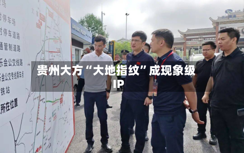 贵州大方“大地指纹”成现象级IP-第1张图片