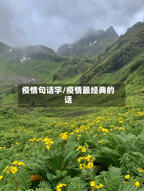 疫情句话字/疫情最经典的话-第2张图片