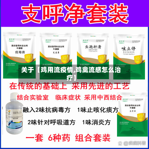 关于【鸡用流疫情,鸡禽流感怎么治疗】-第1张图片