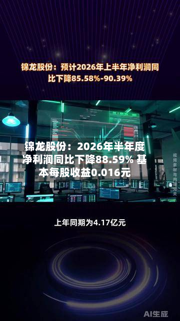 锦龙股份:2026年半年度净利润同比下降88.59% 基本每股收益0.016元-第2张图片