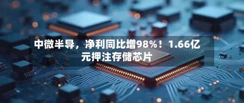 中微半导，净利同比增98%！1.66亿元押注存储芯片-第1张图片