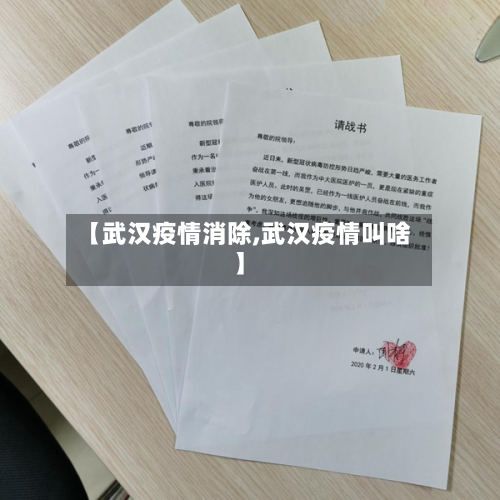 【武汉疫情消除,武汉疫情叫啥】-第3张图片