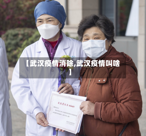【武汉疫情消除,武汉疫情叫啥】-第2张图片
