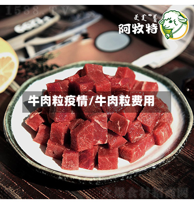 牛肉粒疫情/牛肉粒费用-第1张图片