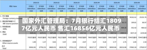 国家外汇管理局:7月银行结汇18097亿元人民币 售汇16856亿元人民币-第1张图片