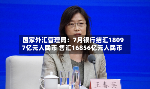 国家外汇管理局:7月银行结汇18097亿元人民币 售汇16856亿元人民币-第2张图片