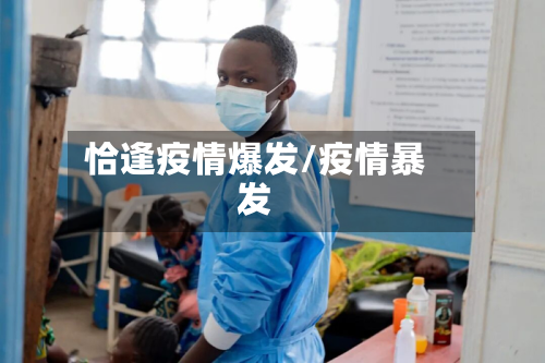 恰逢疫情爆发/疫情暴发-第1张图片