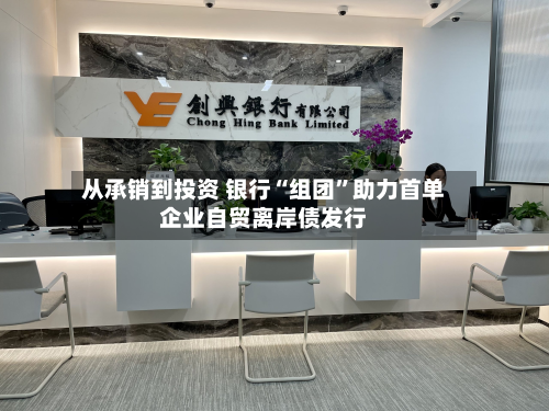 从承销到投资 银行“组团”助力首单企业自贸离岸债发行-第1张图片