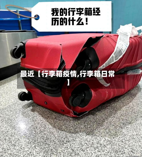 最近【行李箱疫情,行李箱日常】-第3张图片
