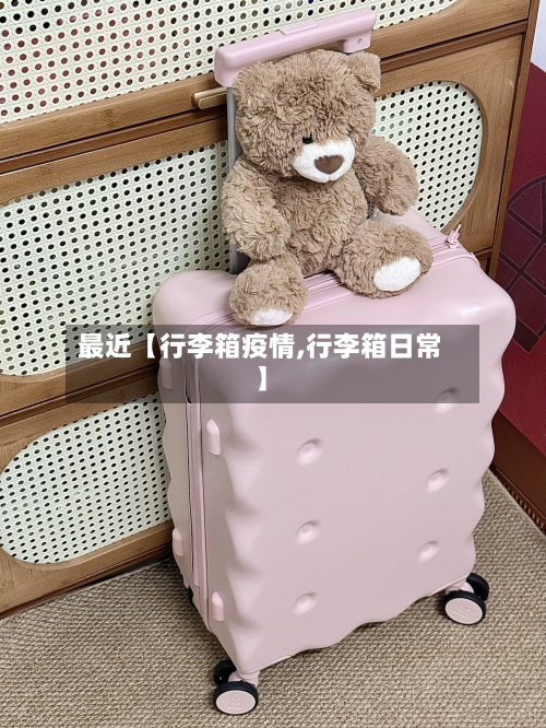 最近【行李箱疫情,行李箱日常】-第1张图片