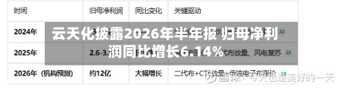 云天化披露2026年半年报 归母净利润同比增长6.14%-第3张图片