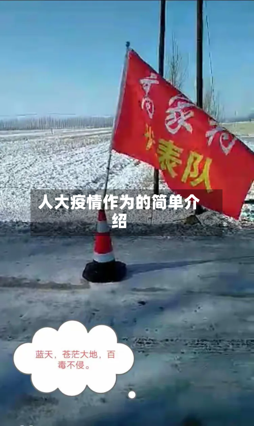 人大疫情作为的简单介绍-第3张图片