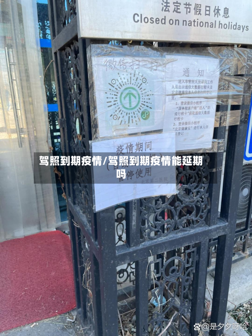 驾照到期疫情/驾照到期疫情能延期吗-第2张图片