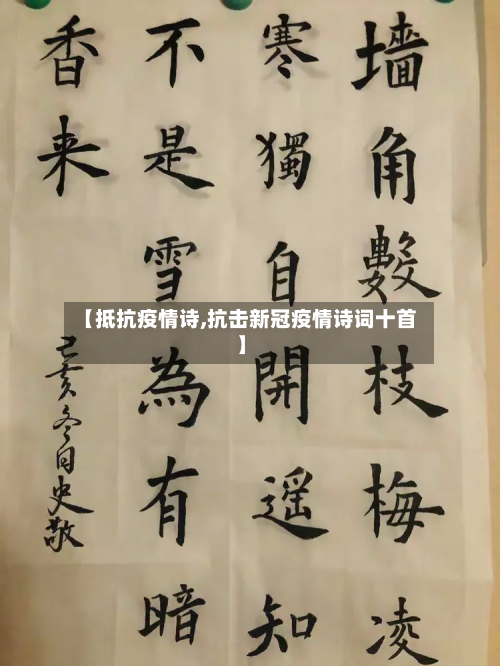 【抵抗疫情诗,抗击新冠疫情诗词十首】-第1张图片