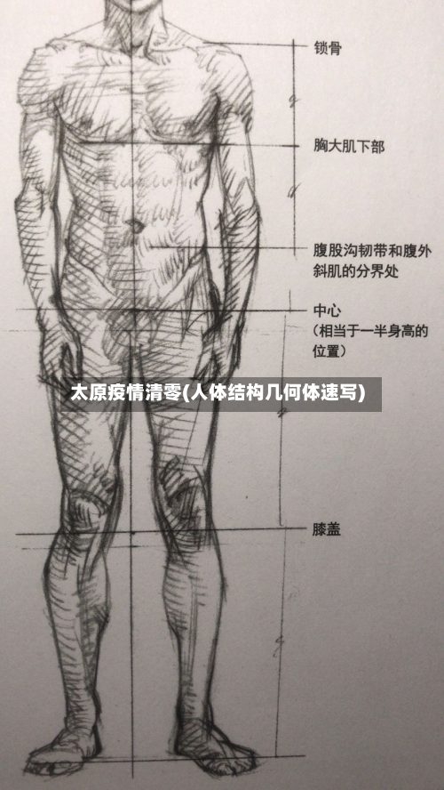 太原疫情清零(人体结构几何体速写)-第2张图片