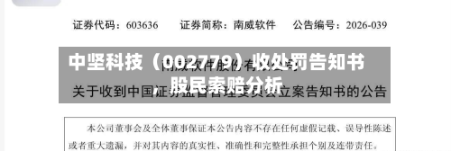 中坚科技（002779）收处罚告知书	，股民索赔分析-第2张图片