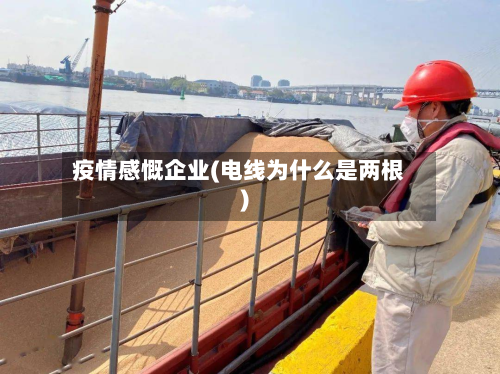 疫情感慨企业(电线为什么是两根)-第2张图片