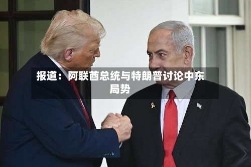 报道：阿联酋总统与特朗普讨论中东局势-第1张图片