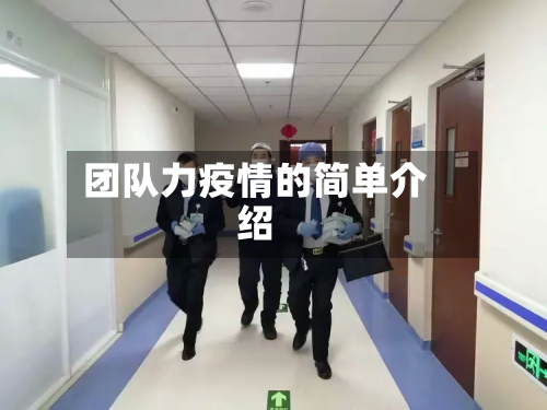 团队力疫情的简单介绍-第1张图片