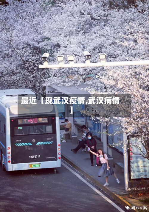 最近【现武汉疫情,武汉病情】-第2张图片