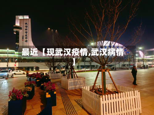 最近【现武汉疫情,武汉病情】-第1张图片