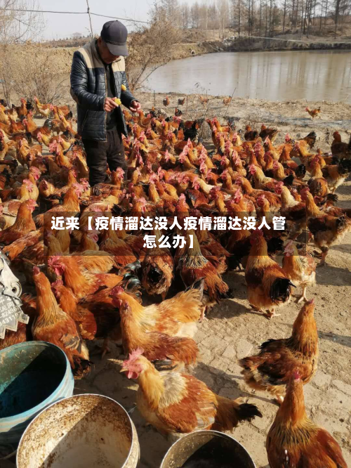 近来【疫情溜达没人疫情溜达没人管怎么办】-第1张图片