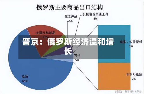 普京:俄罗斯经济温和增长-第1张图片