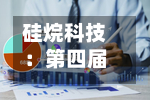 硅烷科技:第四届董事会第九次会议决议公告-第3张图片