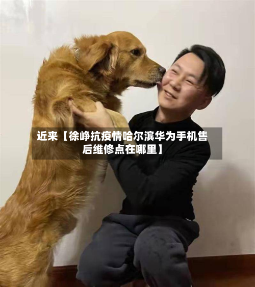 近来【徐峥抗疫情哈尔滨华为手机售后维修点在哪里】-第1张图片