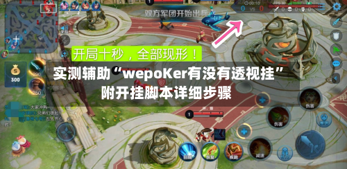 实测辅助“wepoKer有没有透视挂”附开挂脚本详细步骤-第2张图片