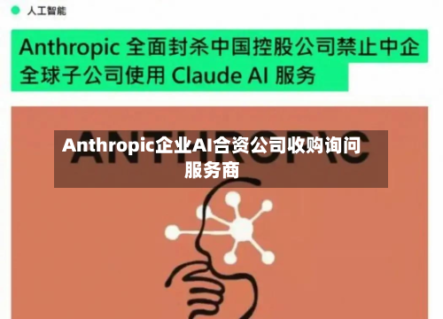 Anthropic企业AI合资公司收购询问
服务商-第1张图片
