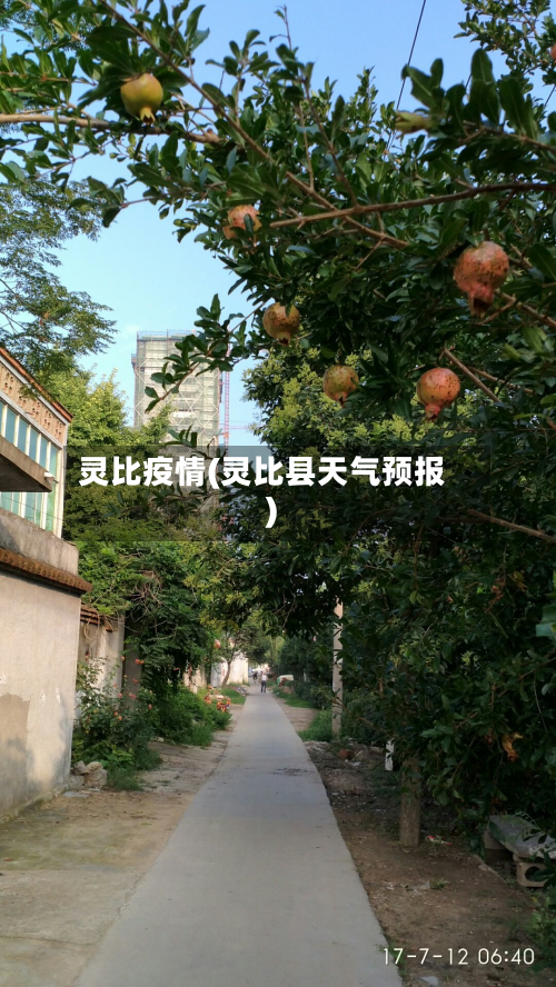 灵比疫情(灵比县天气预报)-第2张图片