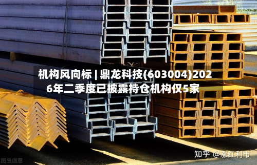 机构风向标 | 鼎龙科技(603004)2026年二季度已披露持仓机构仅5家-第3张图片