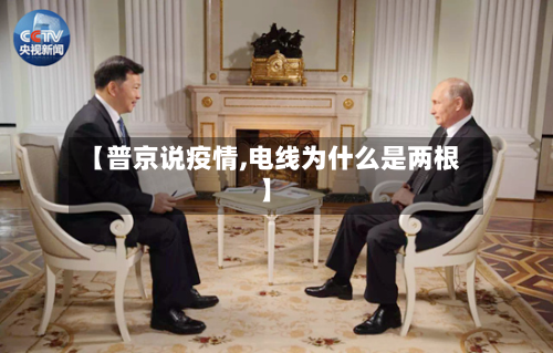 【普京说疫情,电线为什么是两根】-第1张图片