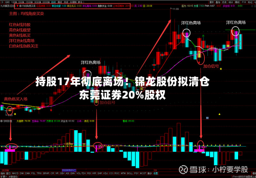 持股17年彻底离场！锦龙股份拟清仓东莞证券20%股权-第2张图片