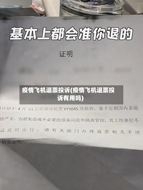 疫情飞机退票投诉(疫情飞机退票投诉有用吗)-第2张图片