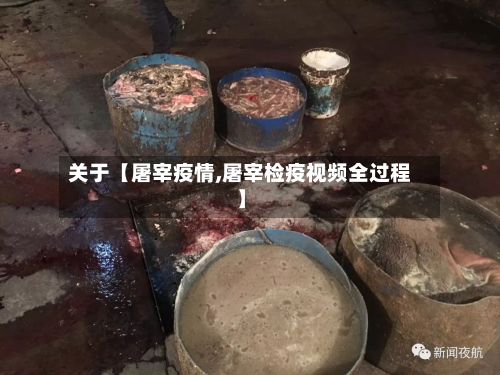 关于【屠宰疫情,屠宰检疫视频全过程】-第3张图片