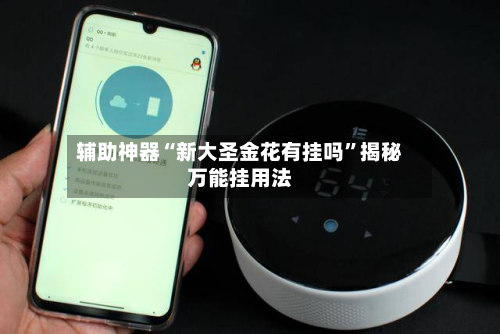辅助神器“新大圣金花有挂吗”揭秘万能挂用法-第3张图片