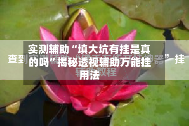 实测辅助“填大坑有挂是真的吗	”揭秘透视辅助万能挂用法-第1张图片