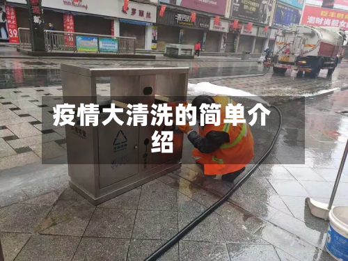 疫情大清洗的简单介绍-第3张图片
