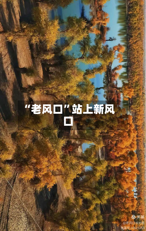“老风口”站上新风口-第1张图片